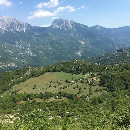 Avdi Kola