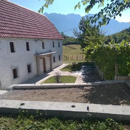 Avdi Kola * Gagu